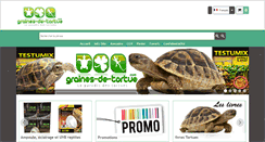 Desktop Screenshot of graines-de-tortue.com