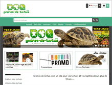 Tablet Screenshot of graines-de-tortue.com